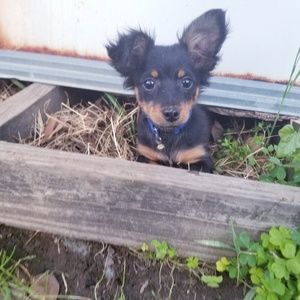 Meet your Posher, Deja